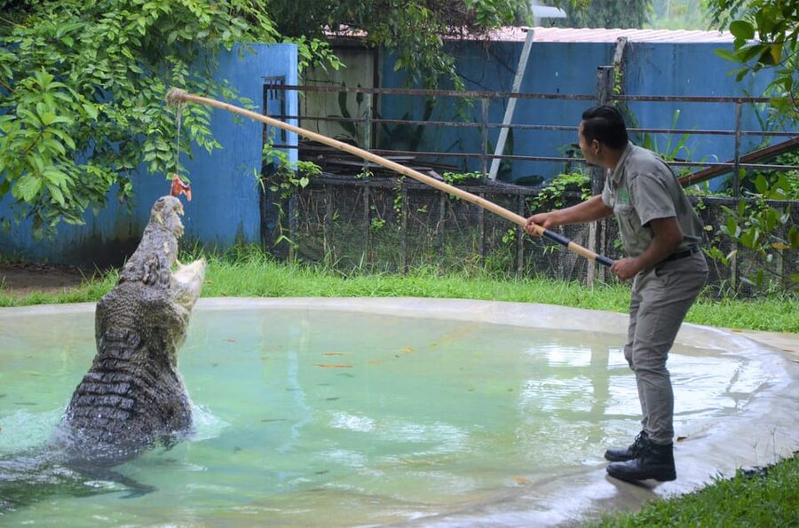 Langkawi: Wildlife Park Admission Ticket - Price and ticket value for a 1-day animal visit