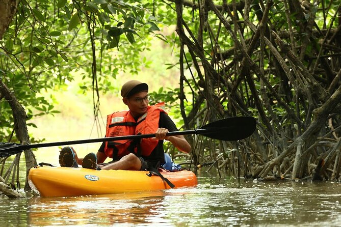 Lebam River Kayaking Adventure - Key Things I’d Prioritize on This Lebam River Day