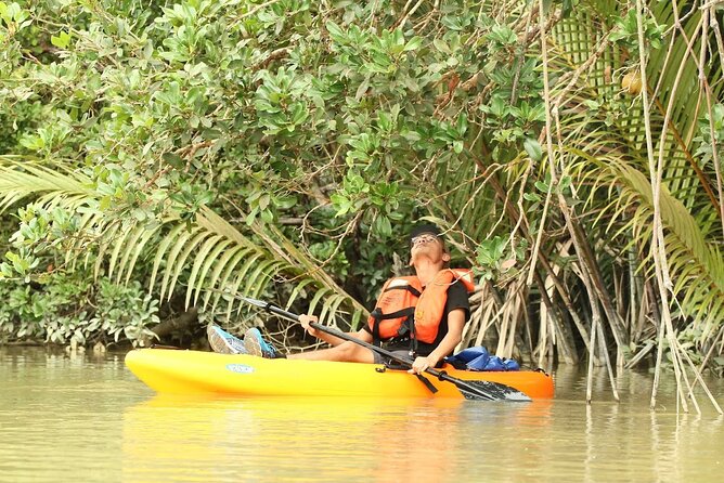 Lebam River Kayaking Adventure - Desaru Coast Pickup to Sungai Lebam Jetty, the Morning Pace