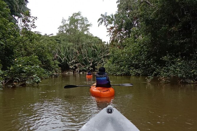 Lebam River Kayaking Adventure - Who This Lebam River Kayaking Adventure Fits Best