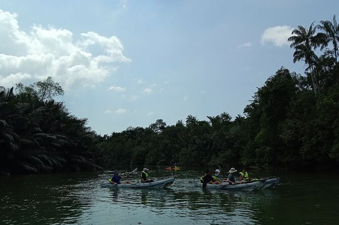 Lebam River Kayaking Adventure - Practical Tips Before You Go (So Your Day Stays Easy)