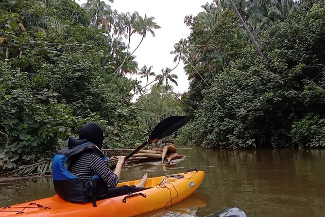 Lebam River Kayaking Adventure - Boat Ride Upstream First, Why That Setup Matters
