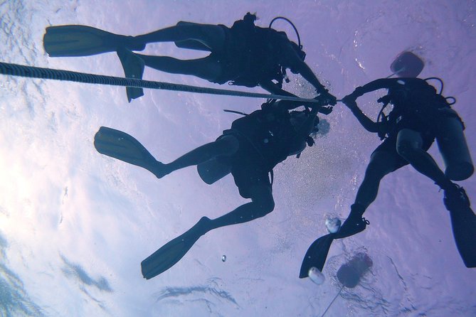 Leisure Diving | Fun Dives | 3 Dives in TARP, Kota Kinabalu - Boat Day on a 33ft Trimaran: Time on the Water, Not Just Waiting