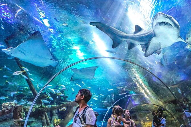 Malaysia: Aquaria KLCC Admission E-Ticket - Key highlights at Aquaria KLCC