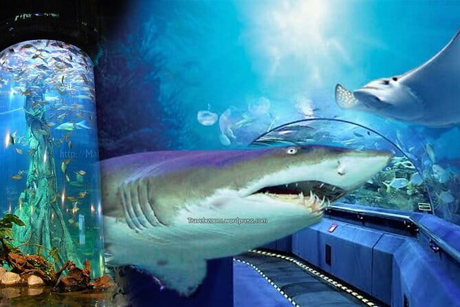 Malaysia: Aquaria KLCC Admission E-Ticket - Interactive exhibits: up close without overdoing it