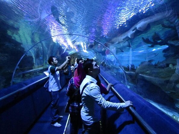 Malaysia: Aquaria KLCC Entry Ticket - Quick take: what you should know before you go
