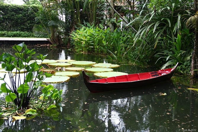Malaysia: Penang Tropical Spice Garden Guided Tours Tickets - Walking the gardens: 500+ plant and wildlife moments on a practical route