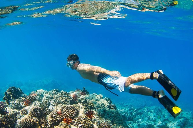 Mamutik + Sapi Island SnorkelingTrip from Kota Kinabalu - Optional Island Hop: Sapi or Mamutik After Manukan