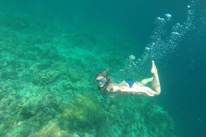 Mamutik + Sapi Island SnorkelingTrip from Kota Kinabalu - Group Size and Port Reality: How to Avoid a Rough Start