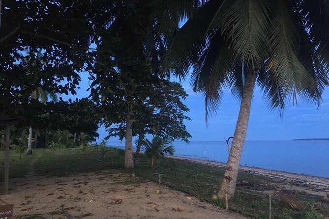 Mangrove Cruise with Fireflies Tour Including Dinner from Sandakan - Price and timing: how the 4 hours usually flows