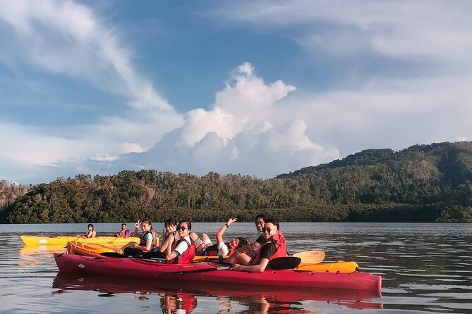 Mangrove Kayaking Experience in Borneo - Getting to Aru Bay: why the early start feels worth it