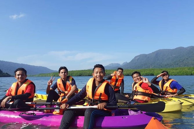 Mangrove Kayaking Tour from Langkawi - What you actually do on the kayak: currents, a river maze, and a manageable workout