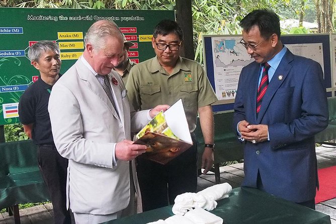 Marvellous Creature Orangutan : Sarawak Semenggoh Wildlife Centre Tour - What the 2-Hour Visit Really Looks Like at Semenggoh