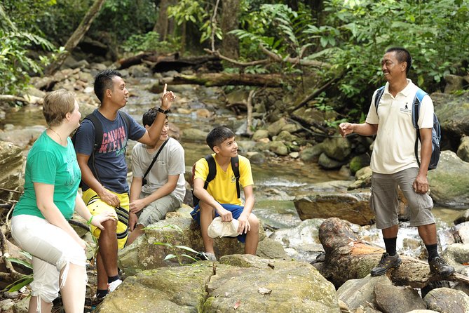 Morning Rainforest Walking from Langkawi - Key Highlights Worth Pricing Your Morning Around