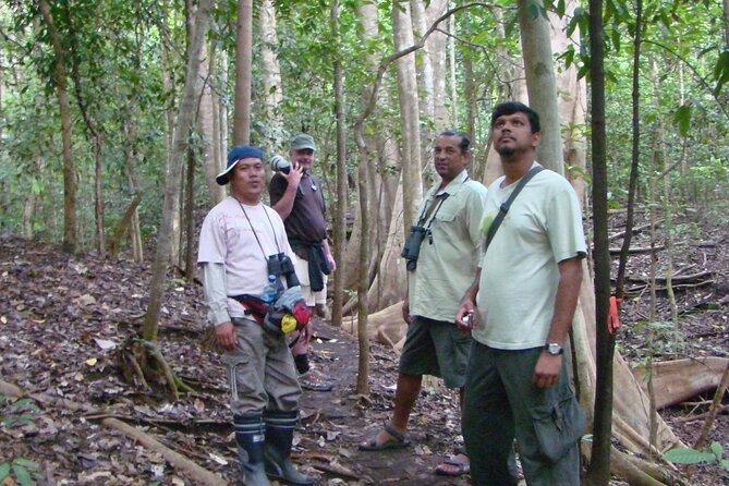 Morning Rainforest Walking from Langkawi - Medicinal Plant Stories Along the Way