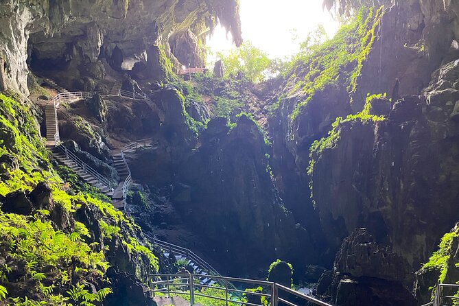 Mountain Biking Gold Mine Full-Day Tour - Why This Kuching Gold Mine Bike Ride Feels Like Two Trips
