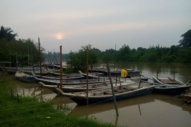 Nature At The Riverbank, Fireflies Watching By Row Boat (Guided) - Key Highlights to Know Before You Go