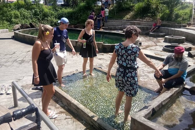 Nature’s Wonders: Kuala Selangor Fireflies & Hot Springs Tour - Fireflies in Kuala Selangor, and why this tour works