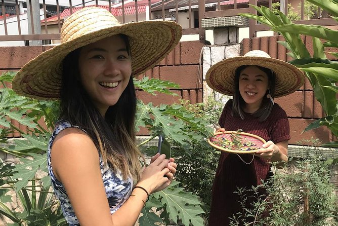 New Malaysian Kitchen Cooking Class and Garden Tour - Morning start: flower tea, then the edible garden