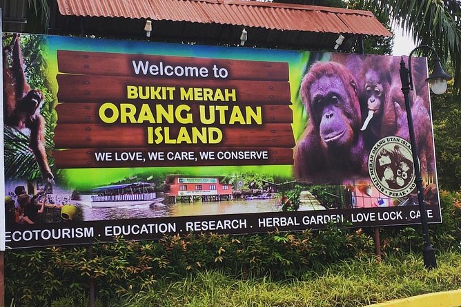 Orang Utan Island Day Tour - 7AM pickup and the road trip that actually shapes your day