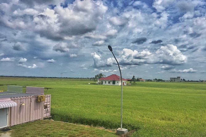 Paddy Field, Fishing Village Sekinchan DAY Tour Lunch (SIC-Shared/Join In Tour) - Sekinchan Day Tour from Kuala Lumpur: what you’re really signing up for