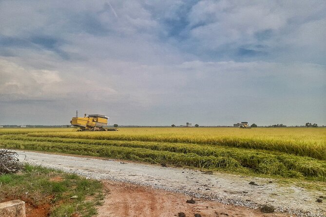 Paddy Field, Fishing Village Sekinchan DAY Tour Lunch (SIC-Shared/Join In Tour) - Bagan Fishing Village: colorful boats and the day’s real rhythm