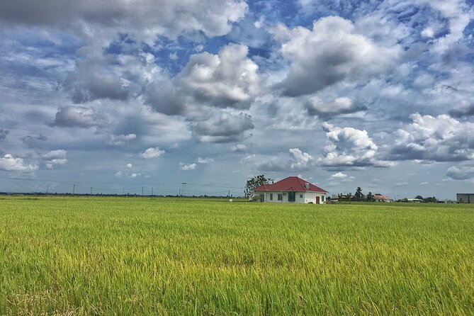 Paddy Field, Fishing Village Sekinchan DAY Tour Lunch (SIC-Shared/Join In Tour) - Guides and drivers: why the human factor matters on a shared day