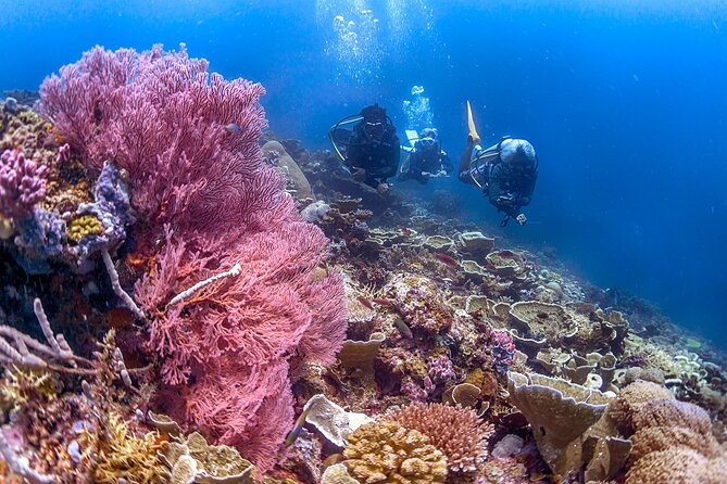 PADI Advanced Open Water Course Kota Kinabalu - The first refresher session and the five sessions that count