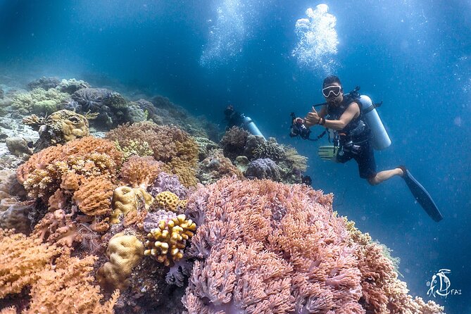 PADI Advanced Open Water Course Kota Kinabalu - Instructors, communication, and why the course feels calm