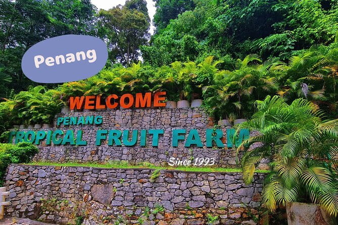 Penang Airport Transfer - Price, Value, and Why $15 Can Be a Smart Buy