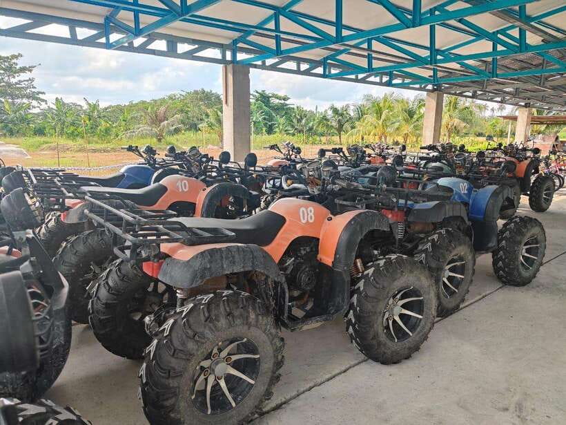 Penang: ATV Ride in Balik Pulau with Snacks and Transfers - The Paddy Fields Route, and What the “Changing Seasons” Means