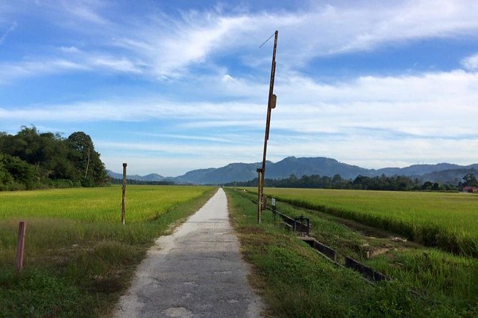 Penang Balik Pulau Countryside Morning Cycling with Transfers - Balik Pulau Countryside by Bike: What You’re Actually Getting