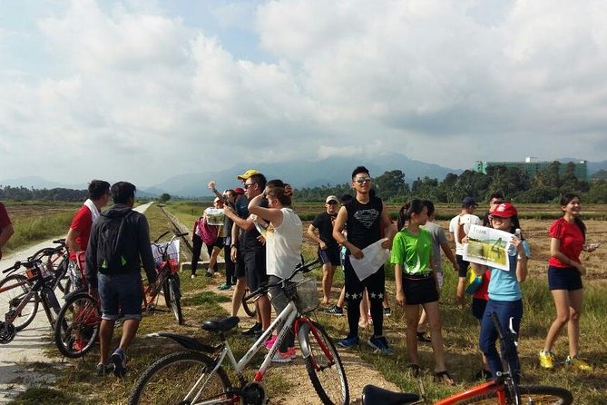 Penang Balik Pulau Countryside Morning Cycling with Transfers - Stop 4: LoveUU Tea Farm Break With Paddy-Field Views