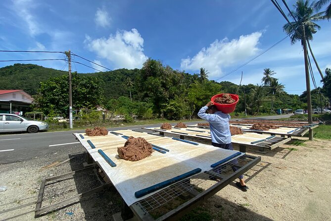 Penang countryside Balik Pulau Half Day Tour - Kampong Terang Container Art at the Paddy Fields