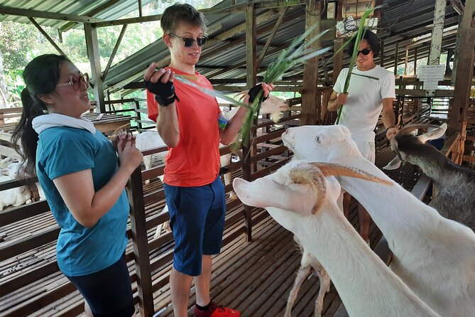 Penang Countryside Cycling Tour. PPA2 by Matahari - Getting from Georgetown to Balik Pulau, then easing into the ride