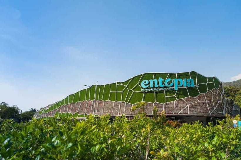 Penang: Entopia General Admission Tickets - The Cocoon indoor discovery center: learning you can do even when it’s hot