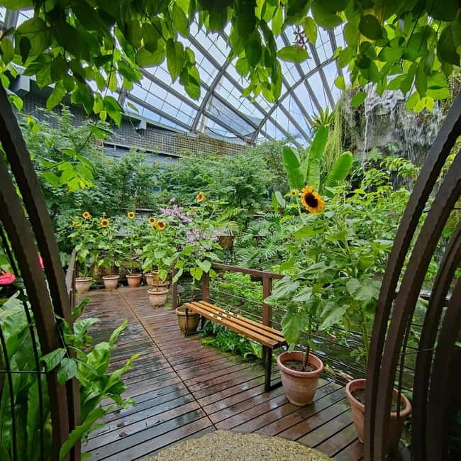 Penang: Entopia General Admission Tickets - Butterfly sanctuary: 15,000 free-flying butterflies from 200 species