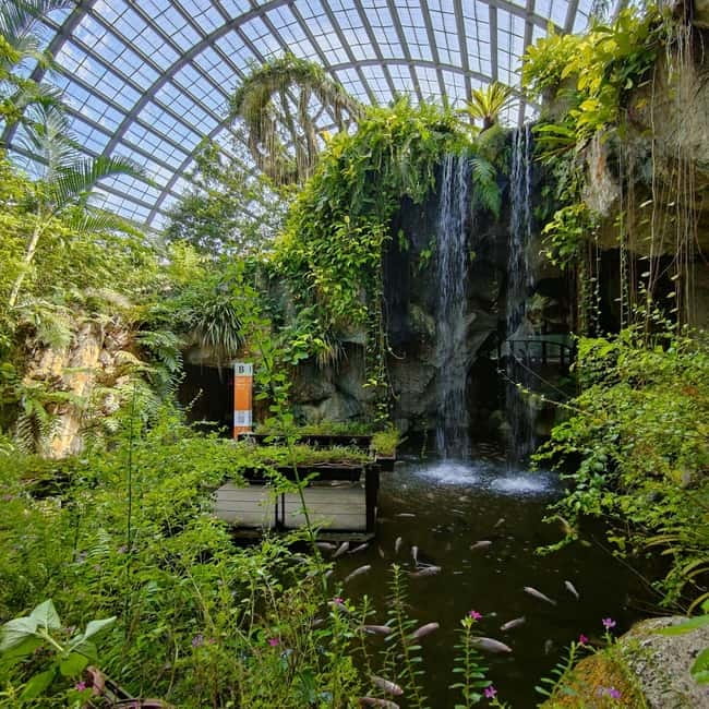 Penang: Entopia General Admission Tickets - Food, souvenirs, and downtime so you can enjoy the whole day