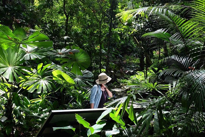 Penang Half Day City Tour Including Tropical Spice Garden - Tropical Spice Garden: Guided Nature with 500+ Species