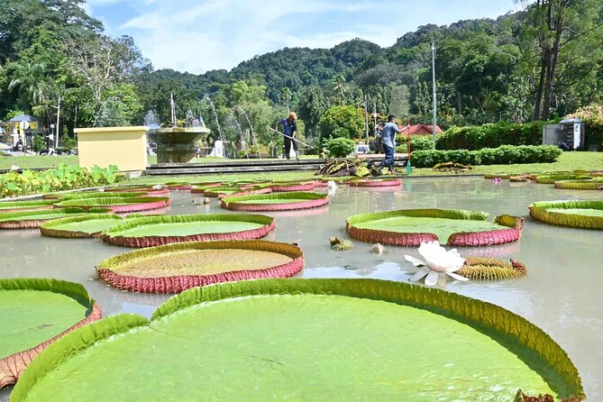 Penang Nature Escape: Penang Hill, Botanical Gardens & Ferringhi - Kek Lok Si Temple: 30 minutes of scale, plus Inclined Lift to help with the climb