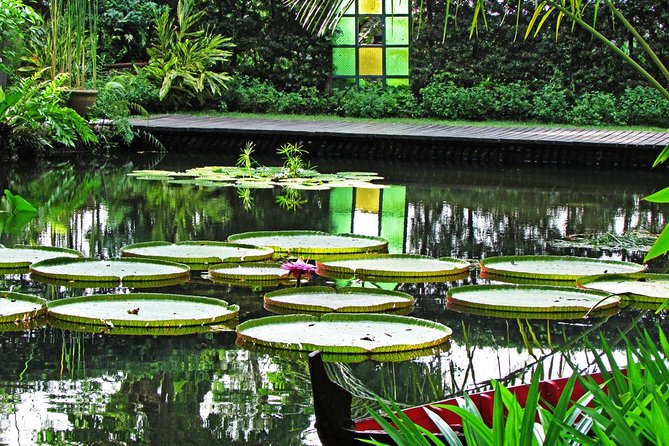 Penang Round Island Tour With Tropical Spice Garden & Entopia Butterfly Farm - How the 10:00 am Start Helps You Enjoy Tropical Stops
