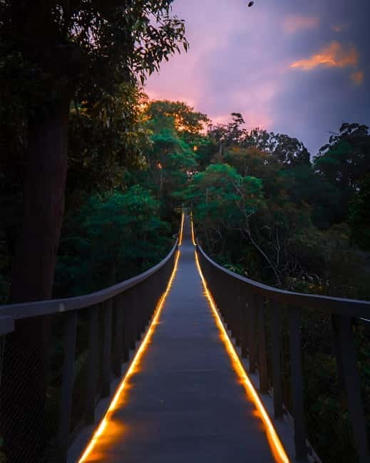 Penang: The Habitat Penang Hill Entry Ticket - How much walking is it, and who will enjoy the effort