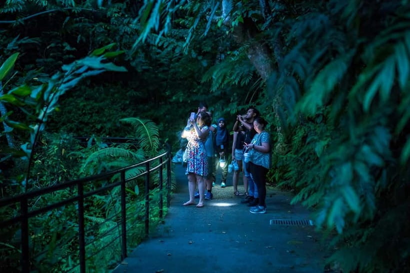 Penang: The Habitat Penang Hill Entry Ticket - Tickets, timing, and the standard vs Evening Walk window