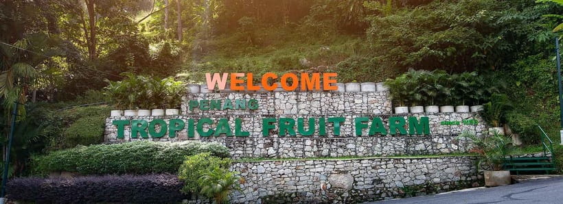 Penang: Tropical Fruit Farm Ticket - Key highlights you will care about
