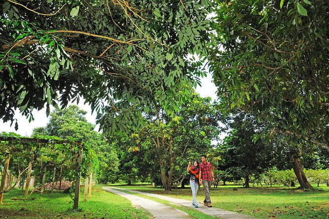 Penang Tropical Fruit Farm with Fruit Tasting - Penang Tropical Fruit Farm: Teluk Bahang views and a guided fruit mission