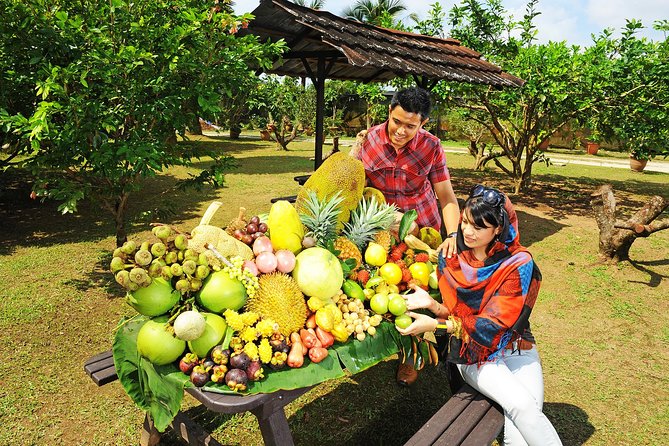 Penang Tropical Fruit Farm with Fruit Tasting - The guided farm walk: spotting 140 tropical fruit species in practice