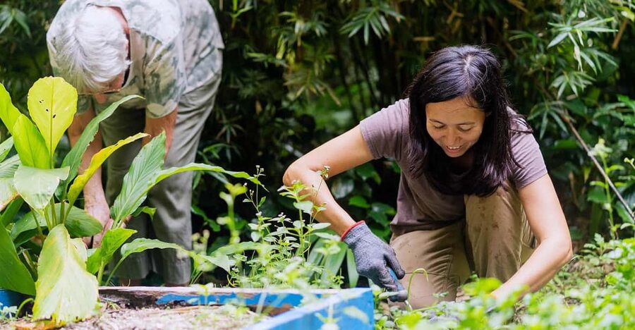 Penang: Tropical Spice Garden Entrance Ticket & Guided Tours - Key Highlights You Should Not Miss