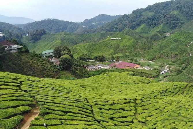 Private: Cameron Highlands 2 days 1 night Trip - Key highlights at a glance