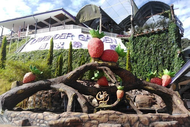 Private: Cameron Highlands 2 days 1 night Trip - The private guide and driver makes a real difference