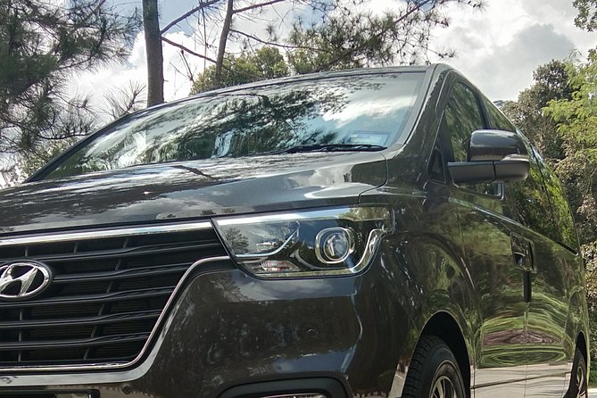 Private Chauffeur For Meetings, Side Visit, Tours, Airport Transfer, Sightseeing - Time and value: is $310 per group worth it?